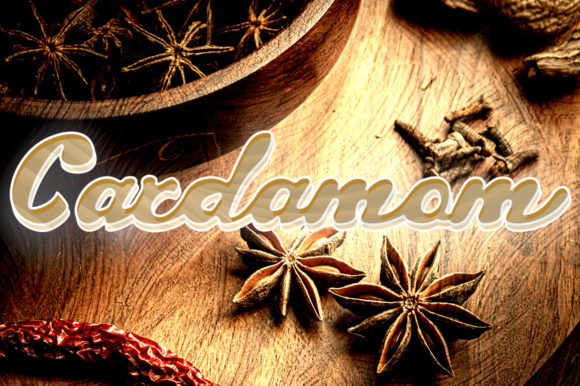 Cardamom: A Delicate Script Font for Editorial Elegance
