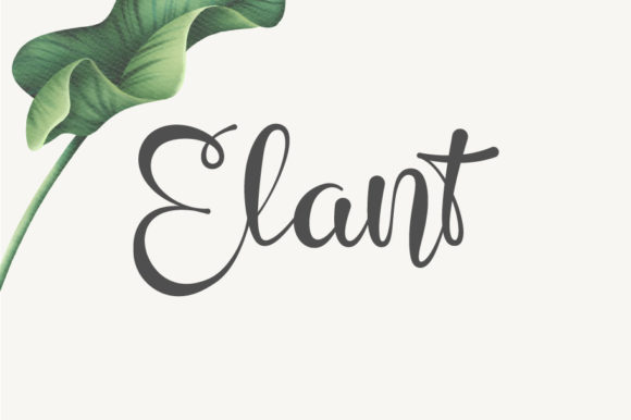 Elant: A Script Handwritten Font for Elegant Digital Branding