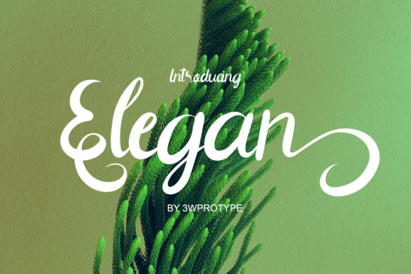 Elegan: A Refined Script Handwritten Font for Professional Branding