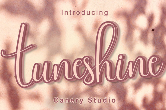 Tuneshine Script Font for Modern Web Design
